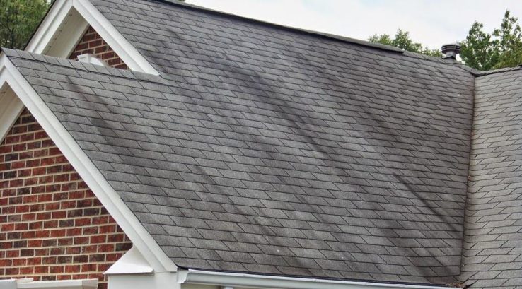 The Black Streaks on Your Roof: Gloeocapsa Magma and How to Get Rid of It