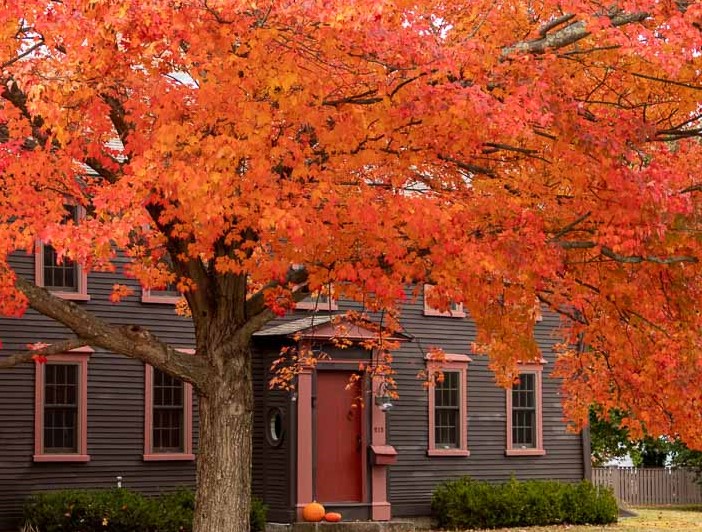 Prepping Your Massachusetts Property for Winter: Essential Fall Maintenance Tips